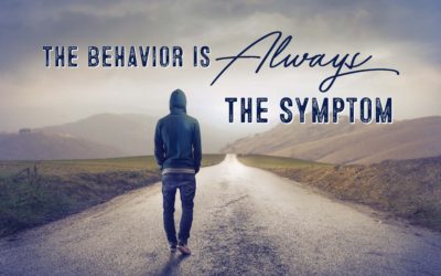 The Behavior Is Always the System