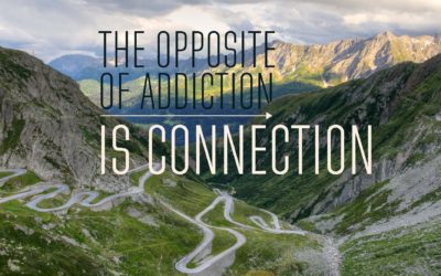 The Opposite of Addiction is Connection